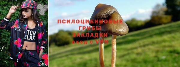 PSILOCYBIN Абдулино