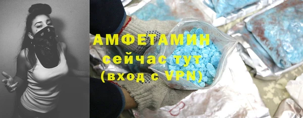 mdpv Вяземский